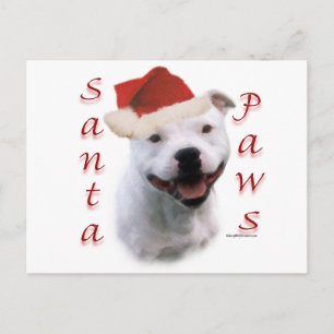 Santa för Staffordshire tjurTerrier tassar Helg Vykort