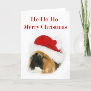 Santa försökskanin helgkort