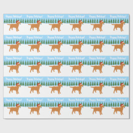 Santa Fox Red Labrador Santa Hat Presentpapper