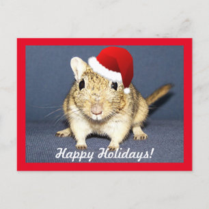 Santa Gerbil Helg Vykort
