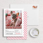 Santa Godkänd Naughty eller Nice Form Photo Julkort<br><div class="desc">Vi presenterar julklappen Godkänd Naughty eller Nice Form Photo Helgdag Card - ett trevligt och nyktert sätt att dina semesterhälsningar och visa din goda vän i håriget. 🐾 Santa's Officiell Frimärke av godkännande 🐾 Julfotokortet är verkligen ett slags kort, med en officiell frimärke från Jultomten själv. Frimärke förklarar stolt att...</div>