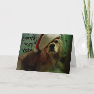 SANTA HÄR ÄNNU? COCKER SPANIEL KÄRLEK HELGKORT