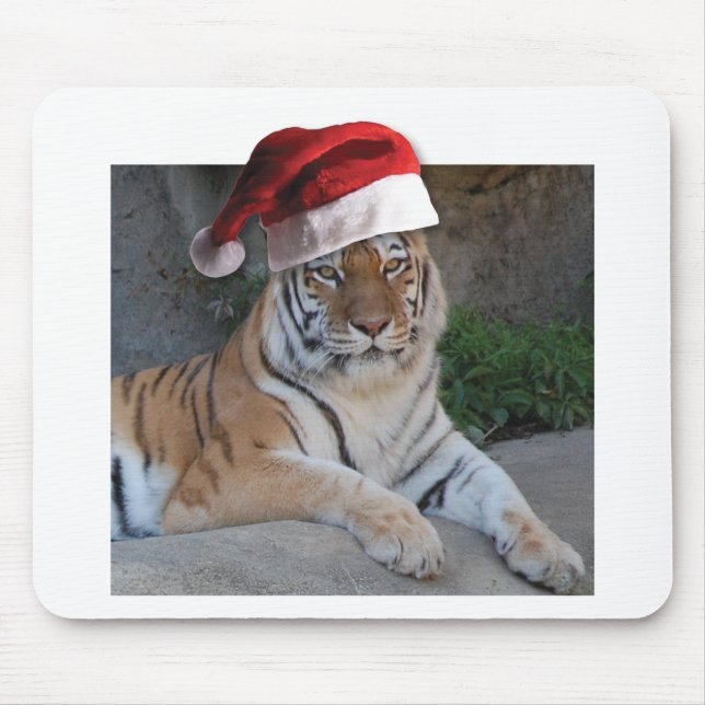 Santa Hat Bengal Tiger Musmatta (Framsidan)