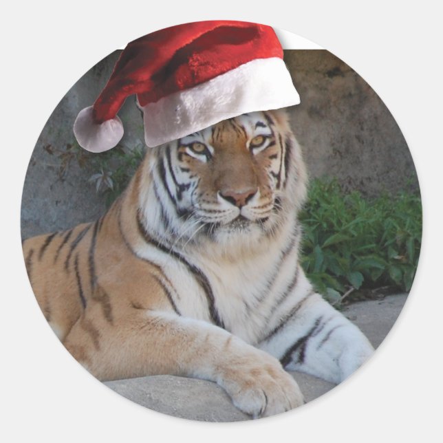 Santa Hat Bengal Tiger Runt Klistermärke (Framsida)