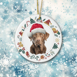 Santa Hat Chesapeake Bay Retriever Helgdag Julgransprydnad Keramik