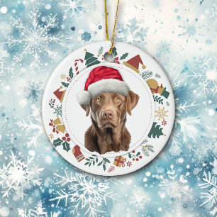 Santa Hat Chesapeake Bay Retriever Helgdag Julgransprydnad Keramik