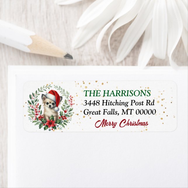 Santa Hat Chihuahua Hund God jul Returadress Etikett (Insitu)