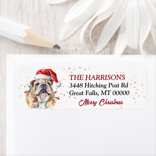 Santa Hat English Bulldog jul Returadress Etikett (Insitu)