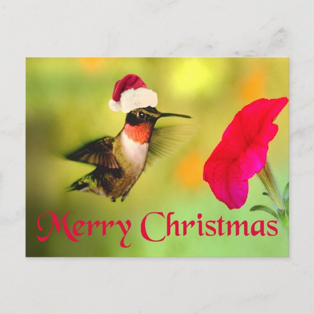 Santa Hat Hummingbird jul Helg Vykort (Framsida)