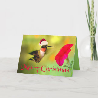 Santa Hat Hummingbird jul Helgkort