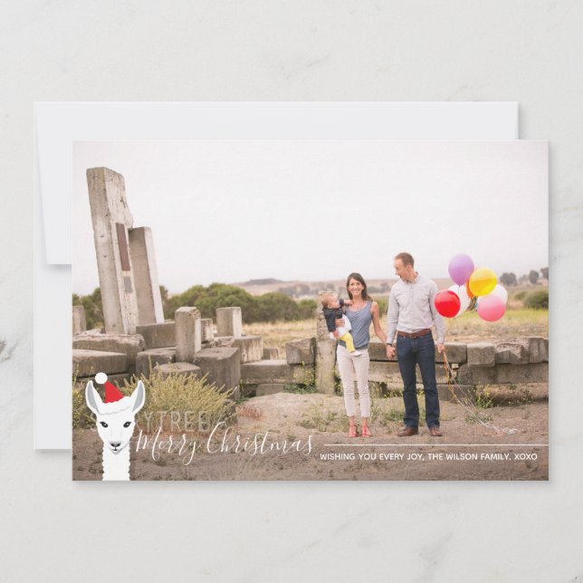 Santa Hat Llama Photo jul Julkort (Framsida)