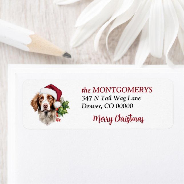 Santa Hatt Brittany Hund Jul Returadress Etikett (Insitu)
