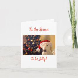 Santa Hatt Bull Terrier, Det Är Jul  Kort