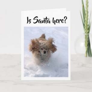 "SANTA HERE ÄNNU" KAN INTE VÄNTA TILL ATT SÄGA GOD KORT
