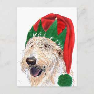 Santa hjälpredaLabradoodle vykort