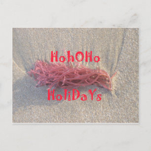 Santa HoHo God jul från Beach färg Helg Vykort