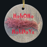 Santa HoHo God jul från Beach färg Julgransprydnad Keramik<br><div class="desc">Santa HoHo God jul från Beach Stranden ger glädje åt människor som besöker havet för att få bra. Sand ger en naturlig känsla av att vara närmare och fäst vid denna värld. Santa HoHo God jul från Beach. Ett av de bästa sätten att skicka säsong hälsning till stranden är att...</div>