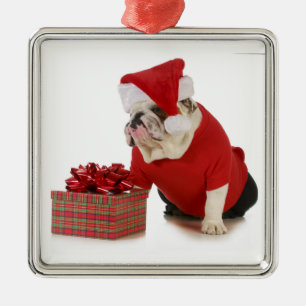 Santa hund - engelsk bulldoggpåkläddnågot likna julgransprydnad metall
