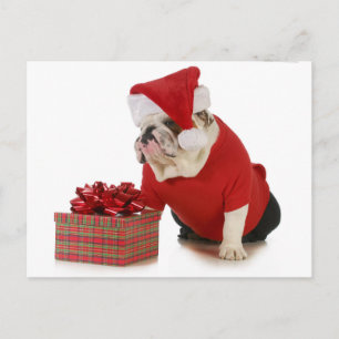 Santa Hund - Engelska bullhunden som Santa Santa Helg Vykort