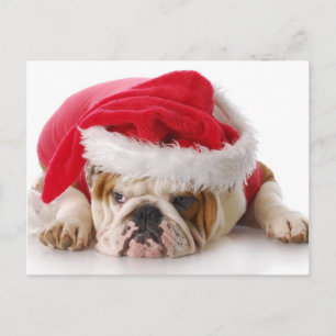 Santa hund helg vykort