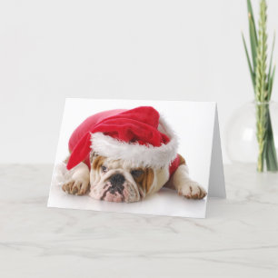 Santa hund helgkort