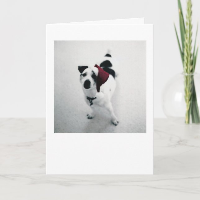 Santa hund helgkort (Framsida)