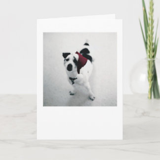 Santa hund helgkort