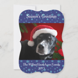 Santa Hund-Lab/Rott Mix med Pointsettia Background Julkort