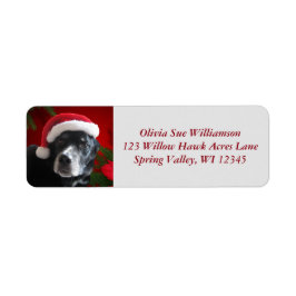 Santa Hund-Lab/Rott Mix med Pointsettia Returadress Etikett