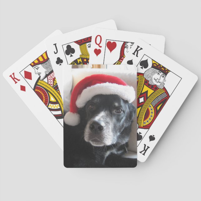 Santa Hund-Labrador Rottweiler blandning Kortlek (Baksidan)