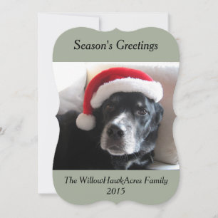 Santa Hund-Labrador/Rottweiler Mix Julkort