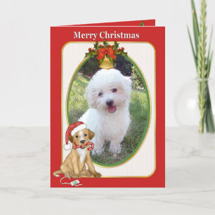 Santa Hund Pet Photo Hälsning Helgkort