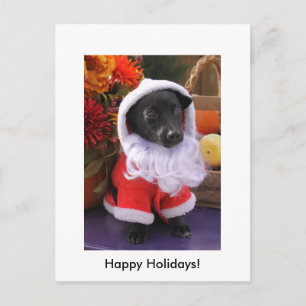 Santa Hund - vykort för Helgdag