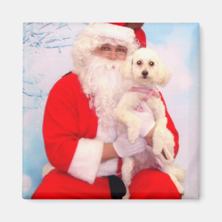 Santa Kärlek Hundar Magnet