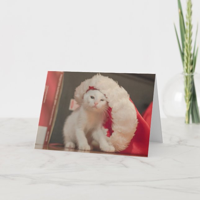 Santa kattunge helgkort (Framsida)