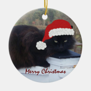 Santa kattunge: Julprydnad Julgransprydnad Keramik