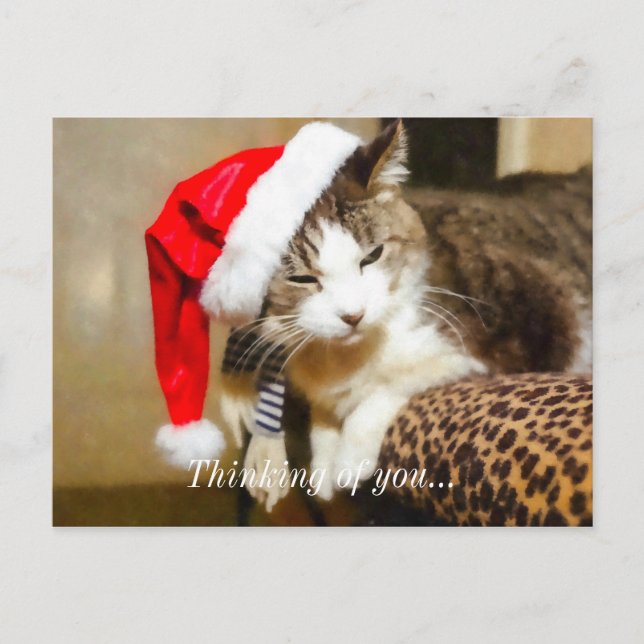 Santa Kattunge Painterly Helg Vykort (Framsida)