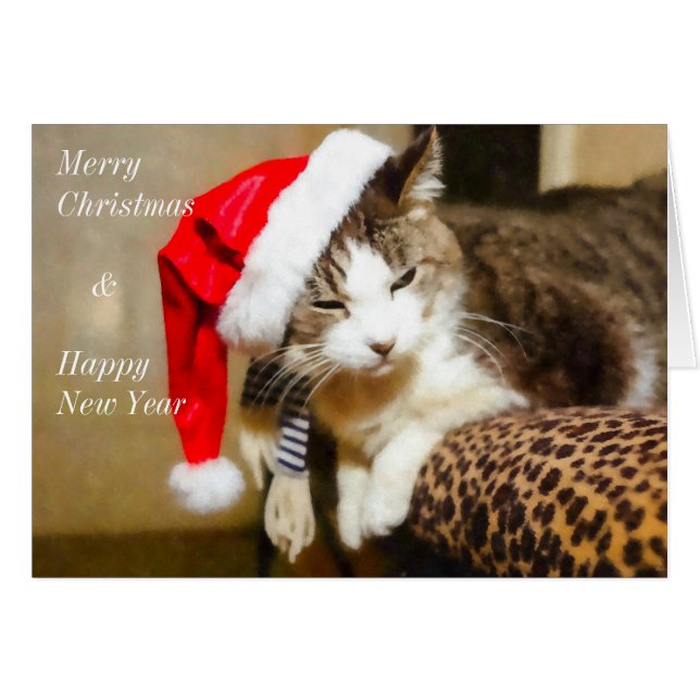 Santa Kattunge Painterly OBS Kort (Framsidan Horizontal)