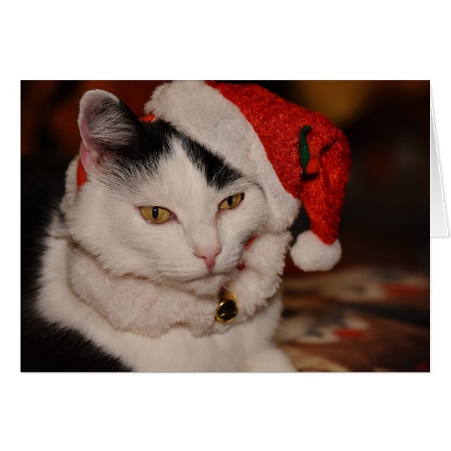 Santa Kattunge | Svartvit katt Hälsningskort (Framsidan Horizontal)