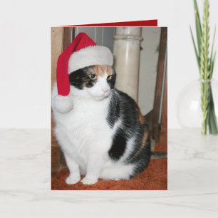 Santa kattungejulkort för kattälskare helgkort