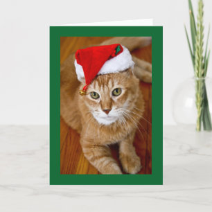 Santa kattungejulkort helgkort