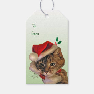Santa kattungepacke av gåvamärkre presentetikett