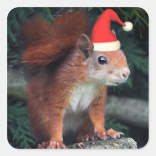 Santa Klo Sticker Fyrkantigt Klistermärke
