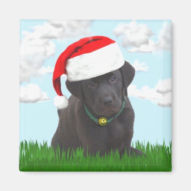 Santa Lab Magnet (Framsidan)