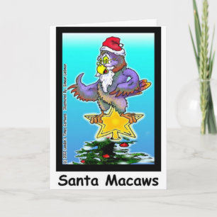Santa Macaws Roliga julpresenter & T-shirts Helgkort