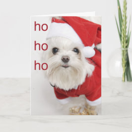 Santa maltesisk valpjul helgkort