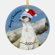 Santa Meerkat God jul