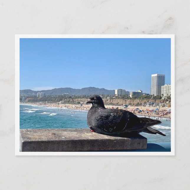 Santa Monica, Kalifornien Vykort (Framsida)