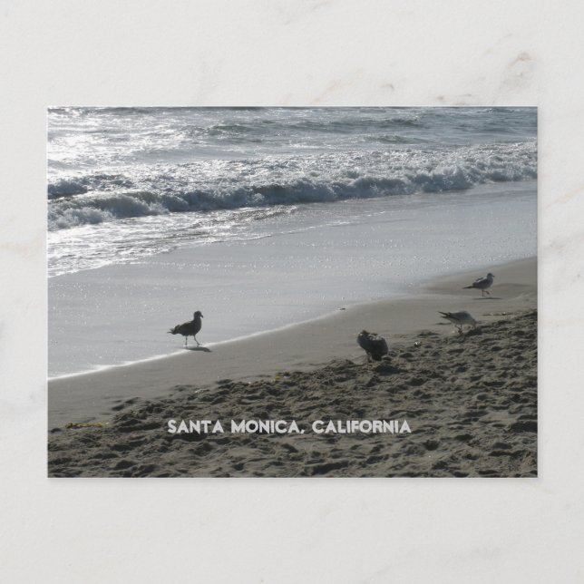 Santa Monica, Kaliforniens vykort (Framsida)