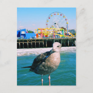 Santa Monica Pier Visitor-vykort Vykort